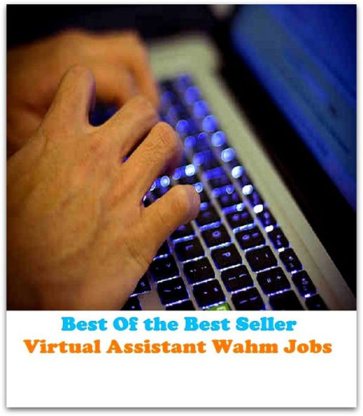 Best of the Best Sellers Virtual Assistant Wahm Jobs	( fake, mesh, net, plexus, web, snare, internet, research, calculating machine, electronics, online, work at home mom, work at home, earn, computer )