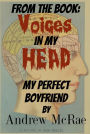 Voices in my Head: My Perfect Boyfriend
