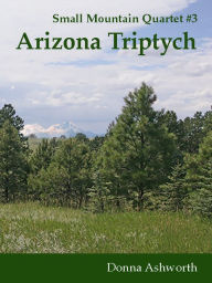 Title: Arizona Triptych, Author: Donna Ashworth