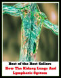 Best of the Best Sellers How The Kidney Lungs And Lymphatic sys(degree, collection, humour, family, degree, nature, school, style,order, origin,)