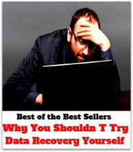 Title: Best of the Best Sellers Why You Shouldn T Try Data Recovery Yourself (why me?, why not, why not me, why on earth, why worry?, who'll, who're, why's, why-not), Author: Resounding Wind Publishing