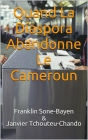 Quand La Diaspora Abandonne Le Cameroun