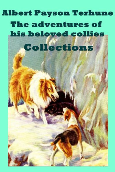 Complete Adventure of Collies Lad Anthologies of Albert Payson Terhune