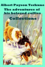 Complete Adventure of Collies Lad Anthologies of Albert Payson Terhune