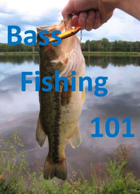 Bass Fishing 101: Tips and Tricks to Help You Catch the Next Big One by ...