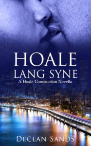 Title: Hoale Lang Syne (Novella 2) (Gay Romantic Suspense and Mystery), Author: Declan Sands