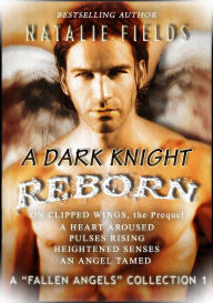 Title: A Dark Knight Reborn Complete Collection, Author: Natalie Fields