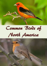 Title: Common Birds of North America: An Illustrated Guide to 50 of the Most Common North American Birds, Author: Paul Watts