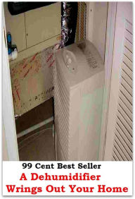 Title: 99 Cent Best Seller A Dehumidifier Wrings Out Your Home ( theory, hypothesis, conjecture, speculation, assumption, premise, presumption, guess ), Author: Resounding Wind Publishing