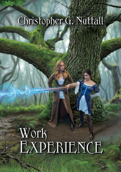 Work Experience (Schooled in Magic Series#4)