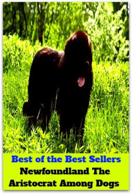 Title: Best of the Best Sellers Newfoundland The Aristocrat Among Dogs ( Brahman, waldgrave, armiger, upper-cruster, baronet, swell, count, silk-stocking, duke, seigneur, esquire, patrician ), Author: Resounding Wind Publishing
