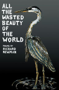 Title: All the Wasted Beauty of the World - Poems, Author: Richard Newman