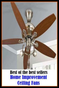 Title: Best of the Best Sellers Home Improvement Ceiling Fans ( Heaven, world to come, VA hospital, what is fated, a better place, well-baby clinic, accessible, ward, afterlife, veterans hospital ), Author: Resounding Wind Publishing