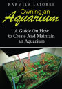 Owning An Aquarium