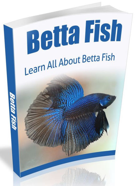 Betta Fish - Learn All About Beta Fish