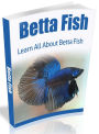 Betta Fish - Learn All About Beta Fish