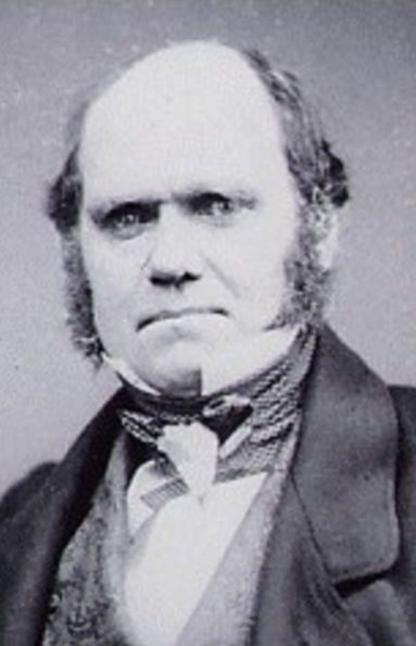 Charles Darwin and Herbert Spencer on the Origin of Species and Principles of Biology (Illustrated)