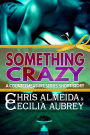 Something Crazy: A Contemporary Romance Short Story in the Countermeasure Series
