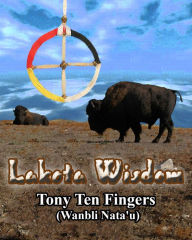 Title: Lakota Wisdom, Author: Tony Ten Fingers