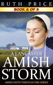 Title: A Lancaster Amish Storm - Book 2, Author: Ruth Price