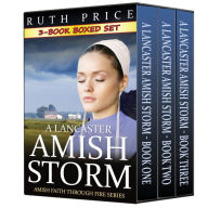 Title: A Lancaster Amish Storm - 3-Book Boxed Set Bundle, Author: Ruth Price