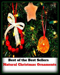 Title: 99 Cent Best Seller Natural Christmas Ornaments ( jewellery, jewels, bling, gemstone, ornament, necklace, earring, diamond, gem, jewel, rhinestone, allotrope, corundum, ice, lozenge, paragon, rhombus, rock, solitaire, zircon, bort, brilliant, jager ), Author: Resounding Wind Publishing