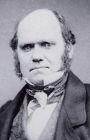 A Naturalist's Voyage Round the World: The Voyage of the Beagle (Illustrated and Bundled with The Autobiography of Charles Darwin)