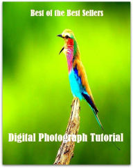 Title: 99 cent best seller Digital Photograph Tutorial (photogrammetric,photogrammetric control,photogrammetry,photograph,photograph album,photographable,photographed,photographer,photographer's model,photographeress), Author: Resounding Wind Publishing