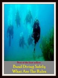 Title: Best of the Best Sellers Bwsd Diving Safely What Are The Rules (bump, collapse, collide, ditch, dive, drop, hurtle, lurch, meet, pitch), Author: Resounding Wind Publishing