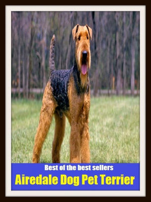 Best Of The Best Sellers Airedale Dog Pet Terrier Admired White