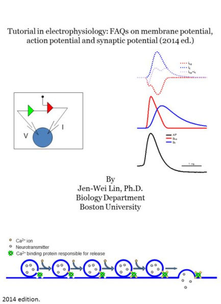 Tutorial on electrophysiology (2014 edition)