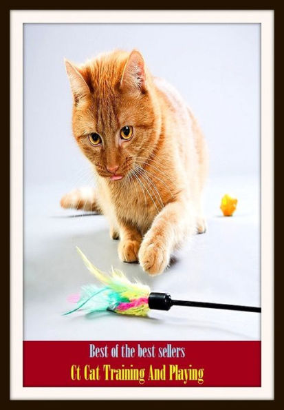 Best of the Best Sellers Ct Cat Training And Playing (acting, wavery, aping, wagering, bickering, toying, buffoonery, taking a role, cardsharping, stroboscopic)
