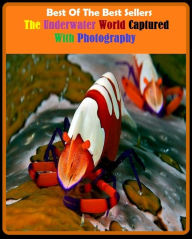 Title: 99 cent best seller The Underwater World Captured With Photography ( underwater basket weaving, underwater demolition, underwater demolition team, underwater diver, underwater searches, underway, underway replenishment, underway replenishment force, nude), Author: Resounding Wind Publishing