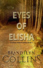 Eyes Of Elisha