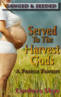 Served to the Harvest Gods