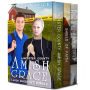 Lancaster County Amish Grace 3-Book Boxed Set Bundle