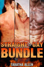 Straight to Gay Bundle (Gay Quickies)