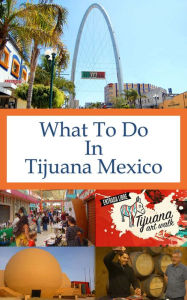 Title: What To Do In Tijuana Mexico, Author: Richard Hauser