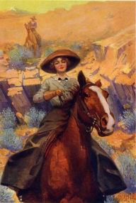 Title: 15 AMERICAN WESTERN NOVELS, Author: William MacLeod Raine