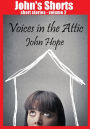 Voices in the Attic