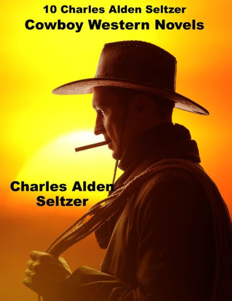 10 Book Charles Alden Seltzer Cowboy Western Classic Combo