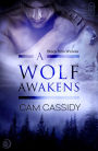 A Wolf Awakens (Werewolf Shifter Romance)