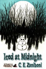 Iced at Midnight