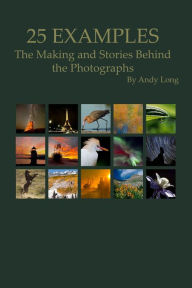 Title: 25 Examples: The Making and Stories Behind the Photographs, Author: Andy Long