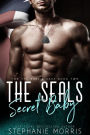 The SEALs Secret Baby (For the Baby's Sake, Book 2)