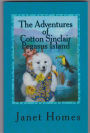 The Adventures of Cotton Sinclair Pegasus Island