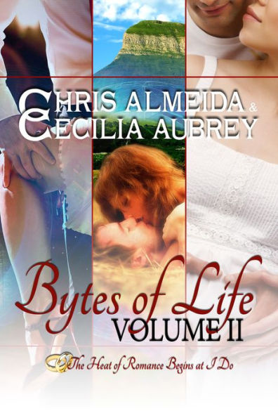 Countermeasure: Bytes of Life Volume II - A Three-Book Bundle of Contemporary Romance Novellas in the Countermeasure Series