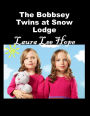 The Bobbsey Twins at Snow Lodge