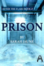 After the Flare Book 2: Prison