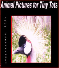 Title: Animal Pictures for Tiny Tots, Author: Joan Shortridge